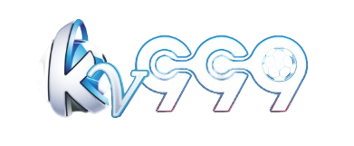 LOGO vnkv999